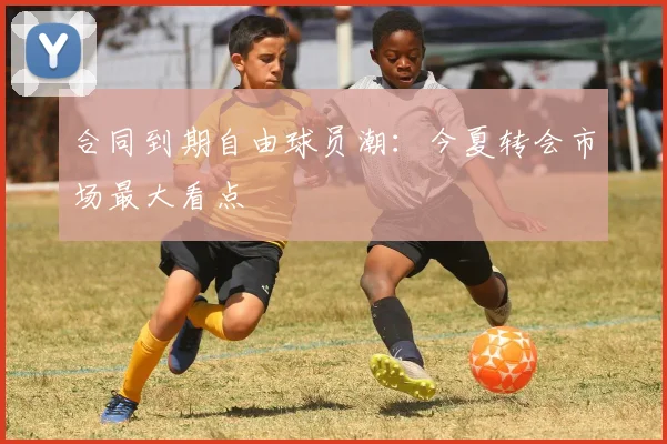 合同到期自由球员潮：今夏转会市场最大看点