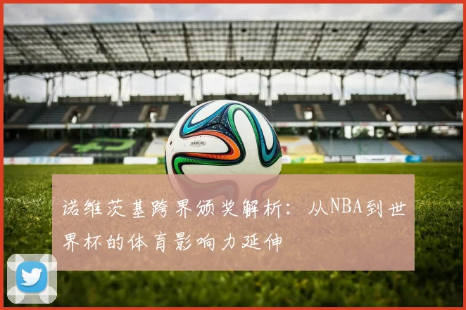诺维茨基跨界颁奖解析：从NBA到世界杯的体育影响力延伸
